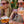Load image into Gallery viewer, Honey Whisky - Beeble Original (50cl)
