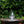 Load image into Gallery viewer, Beeble Etched Dram Glass (120ml)
