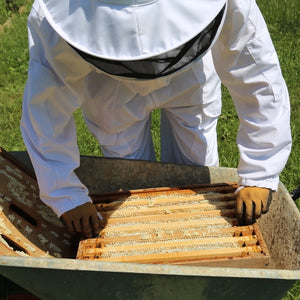 Medical Magic: The Buzz Around Honey - Beeble Co