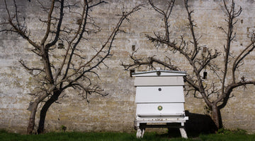 Meet Pete: Our humble beekeeper
